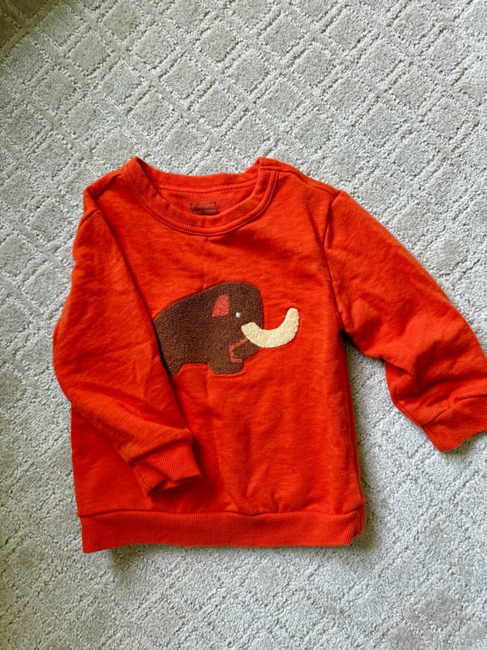 Bright Orange Kids' Sweatshirt with Elephant Appliqué